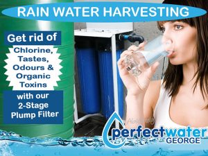 Rain Water Harvesting 2 Stage Plump Perfect Water George