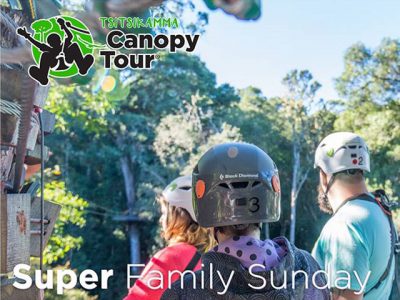 Tsitsikamma Canopy Tour Family Special