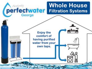 Whole House Filtration Systems in George