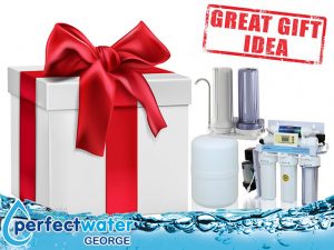 Gift Idea – Water Purifier