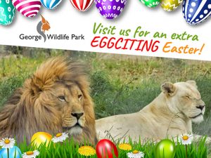 Visit the George Wildlife Park