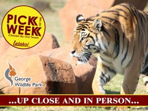 Pick of the week George Wildlife Park