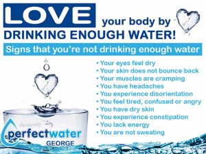 Purified Water Solutions in the Garden Route
