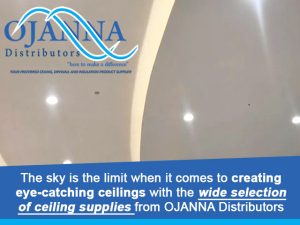 Wide Selection of Ceiling Supplies George