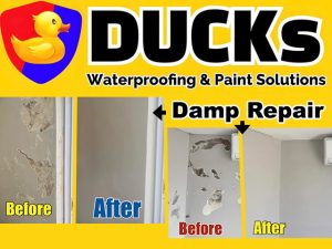 Damp Repair Services George