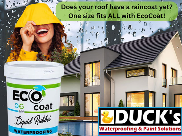 Roof Repairs and Maintenance in George