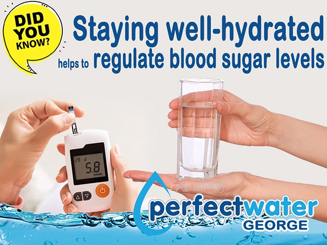 Purified Drinking Water Supplier in George