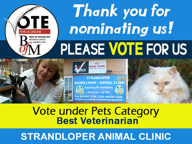 Vote Strandloper Animal Clinic