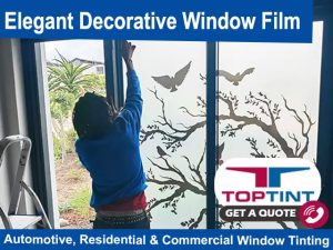 Elegant Decorative Window Film in George