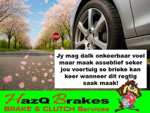 Professionele Briekdienste in George